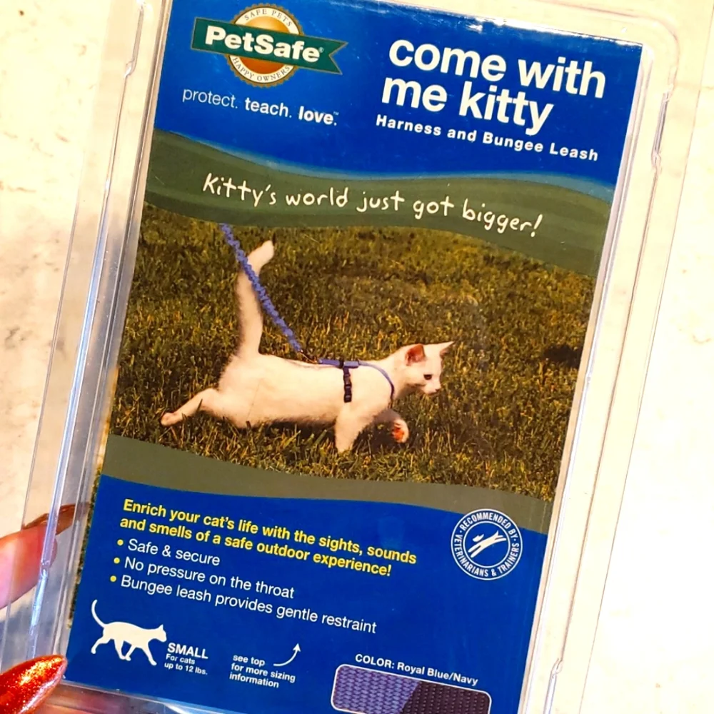 Kitten Harness